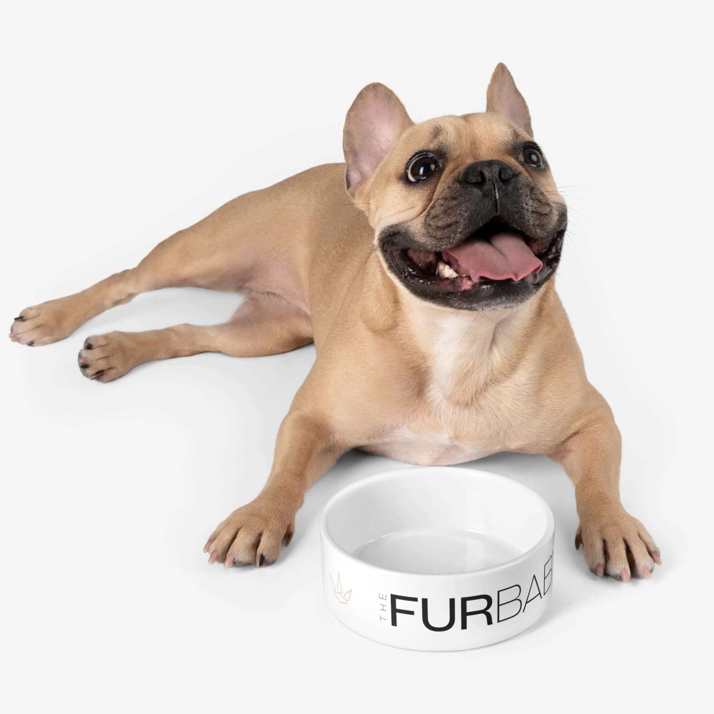The Fur Baby Pet Bowl