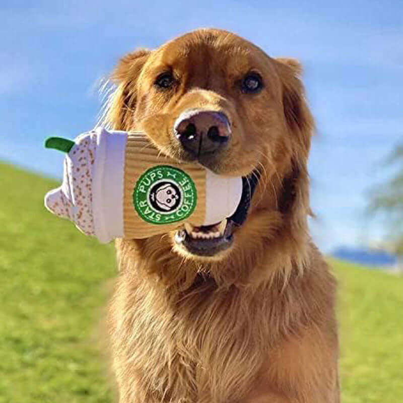 Star Pups Coffee Pup'kin Spice Latte Dog Toy