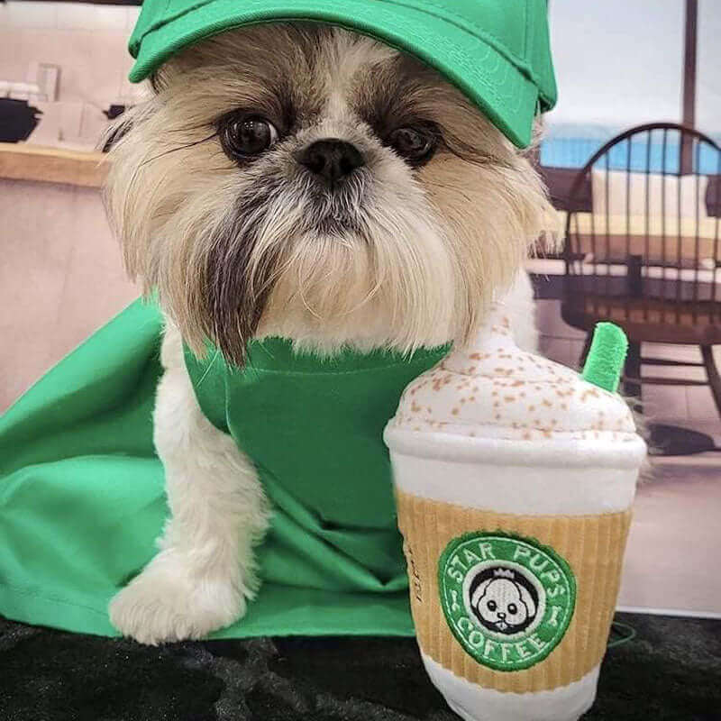 Star Pups Coffee Pup'kin Spice Latte Dog Toy