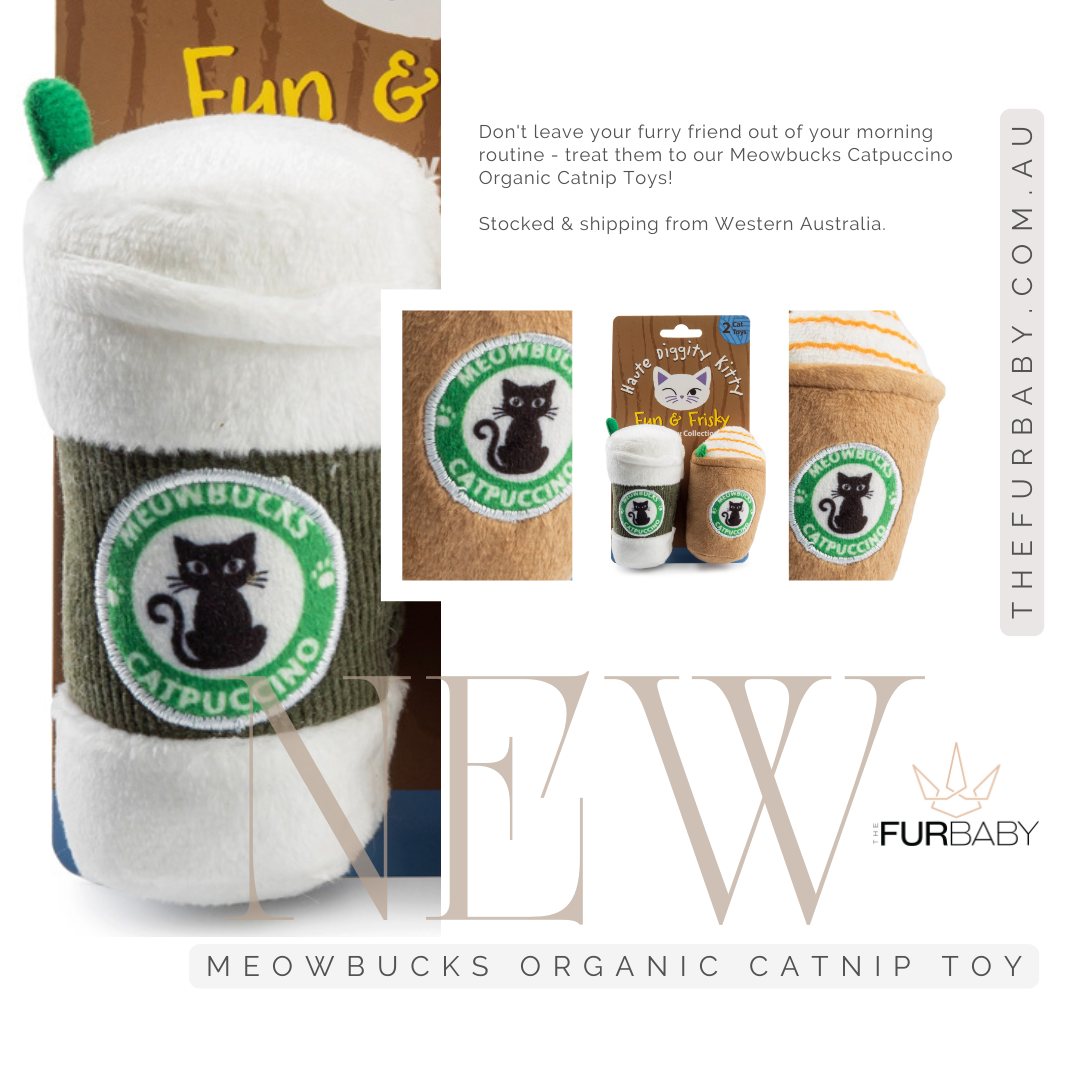 Meowbucks Catpuccino Organic Catnip Coffee Cup Toys
