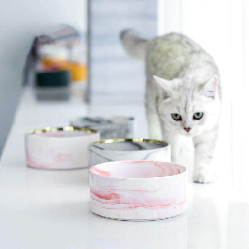 Elevated Marble Pet Bowl