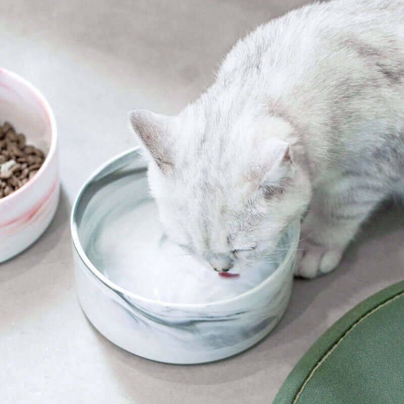 Elevated Marble Pet Bowl