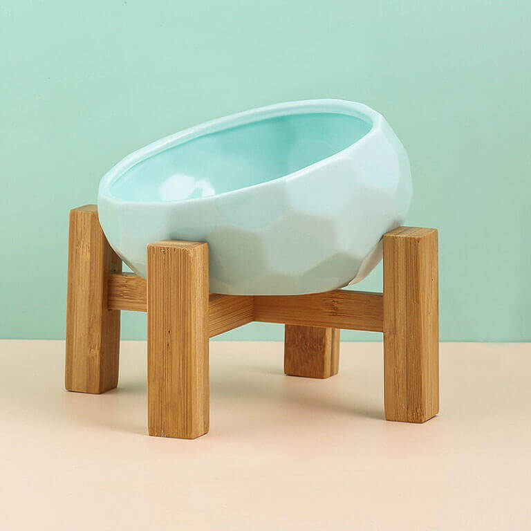Elevated Ceramic Bowl - Aqua