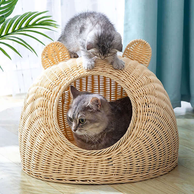 The Fur Baby Wicker Rattan Handwoven Cat Bed in Natural