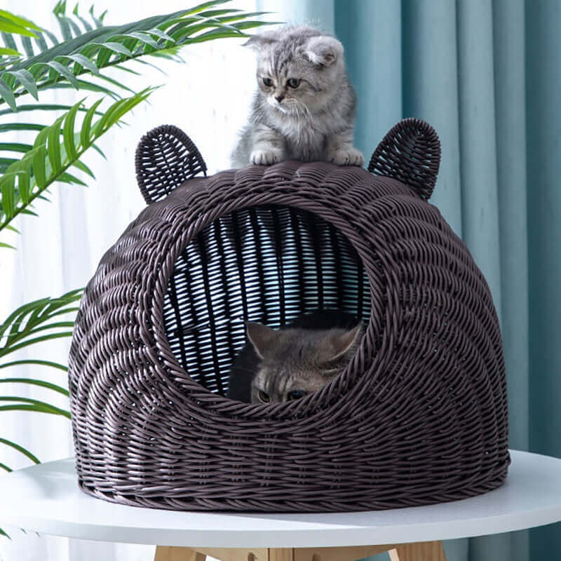 Wicker Rattan Handwoven Cat Bed