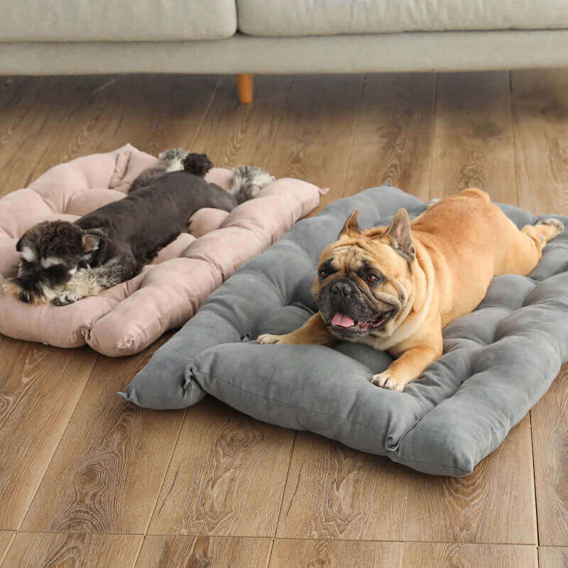 Multifunction Pet Bed