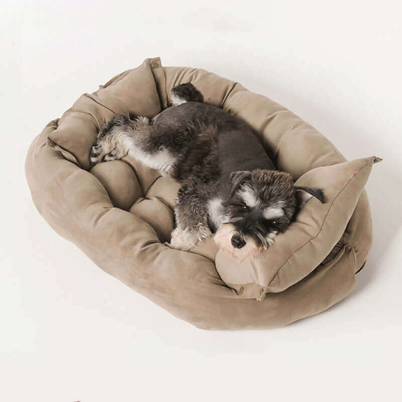 Multifunction Pet Bed