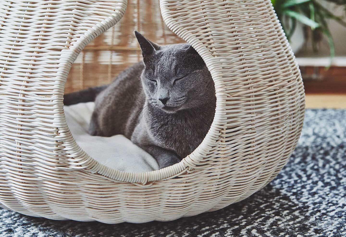 Luxury Rattan Cat Cave