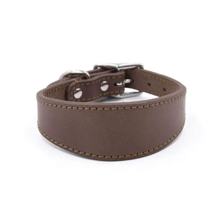 Leather Tapered Dog Collar