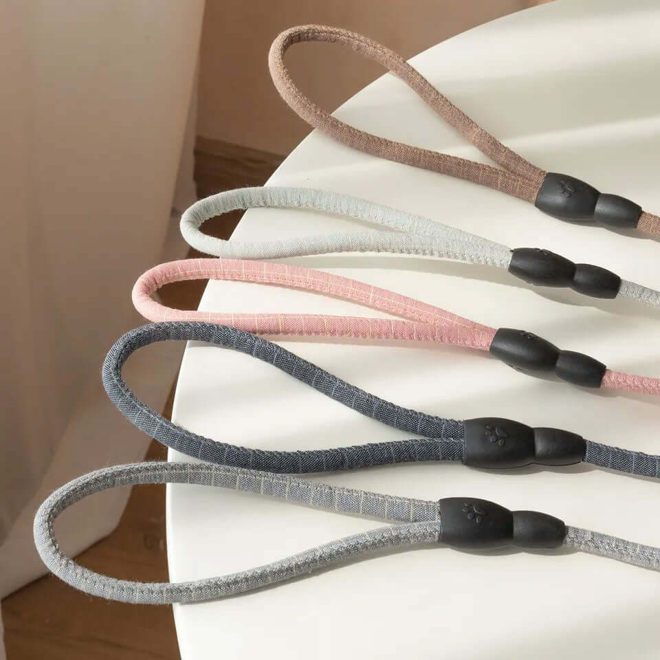 Adjustable Harness and Leash Set