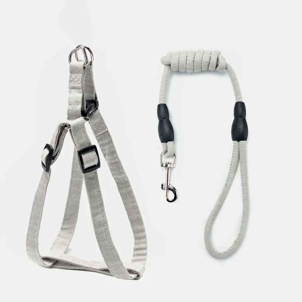 Adjustable Harness and Leash Set Mint