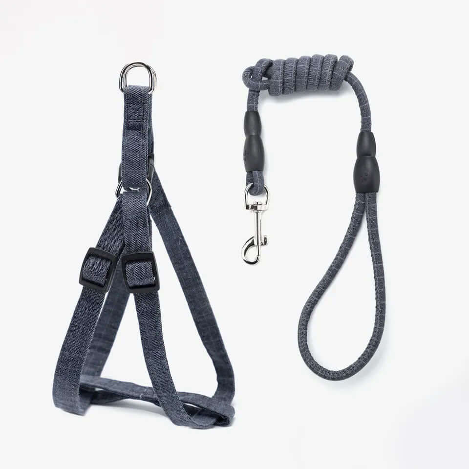 Adjustable Harness and Leash Set Navy