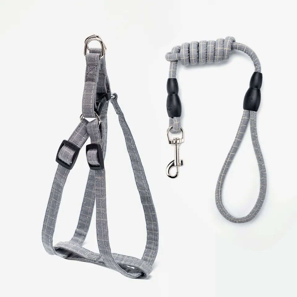 Adjustable Harness and Leash Set Grey