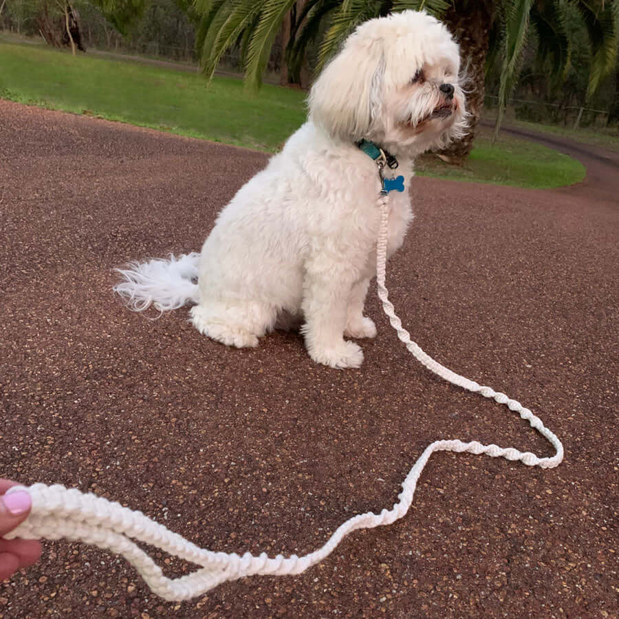 Handmade Macrame Dog Lead 100% Cotton