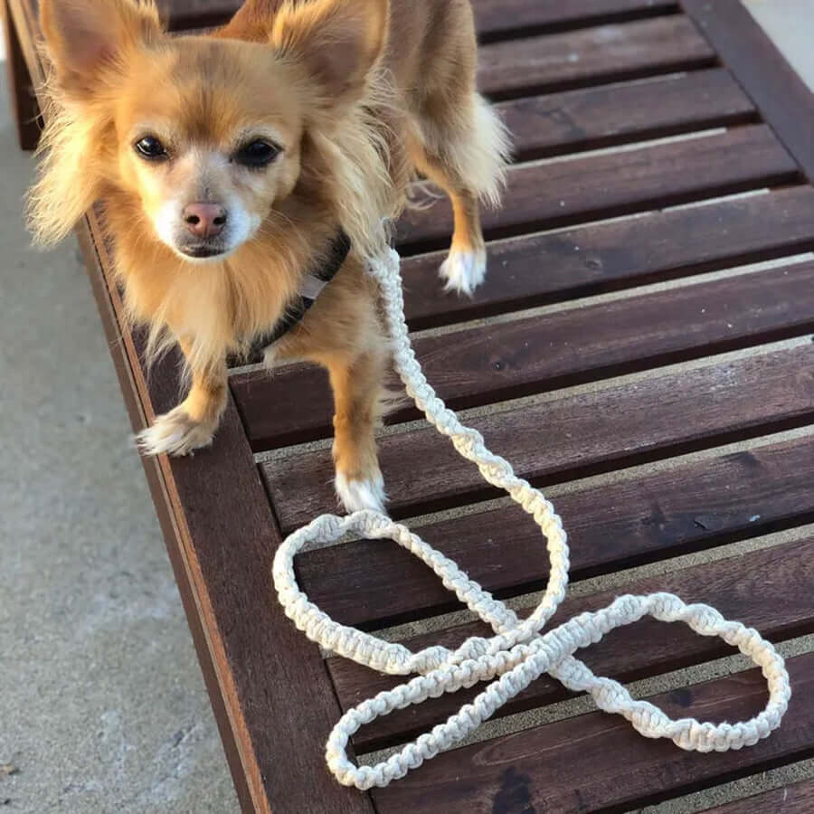 Handmade Macrame Dog Lead 100% Cotton
