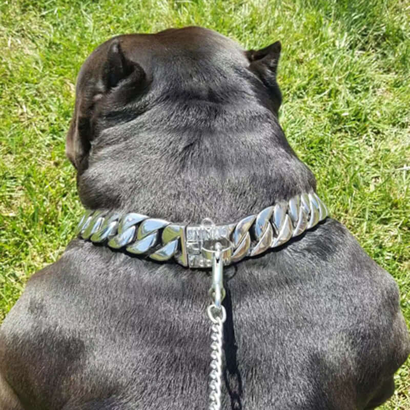 Cuban Dog Collar 32mm Steel