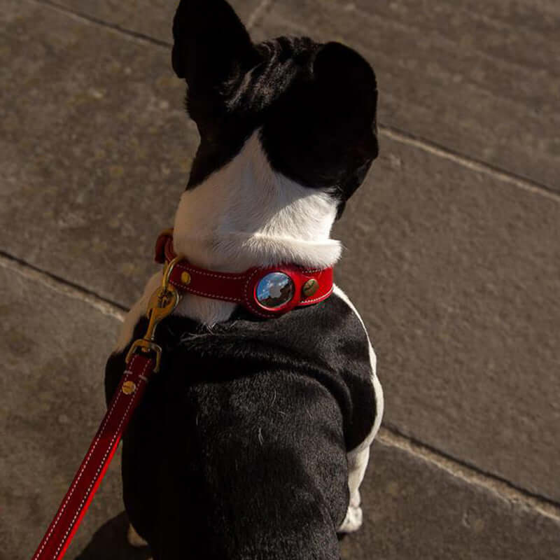High Quality Genuine Leather AirTag Dog Collar