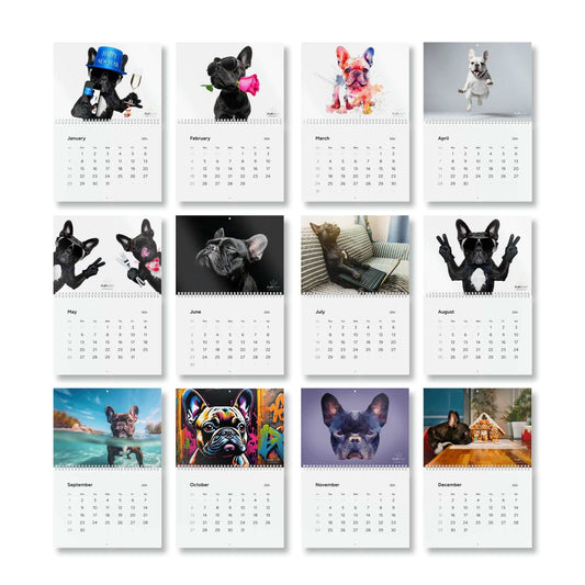 2024 Frenchie Dog Wall Calendar