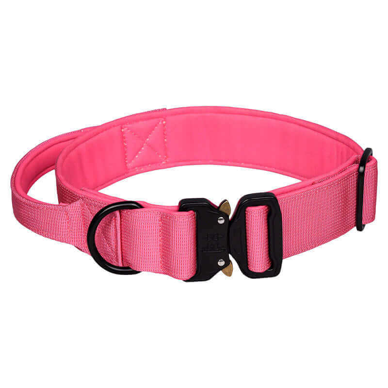 Bright pink dog collar best sale